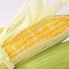 云南 西双版纳 爆浆水果甜玉米 商品缩略图5