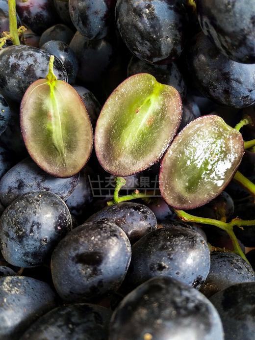 黑加仑 秋黑葡萄   好甜 商品图7
