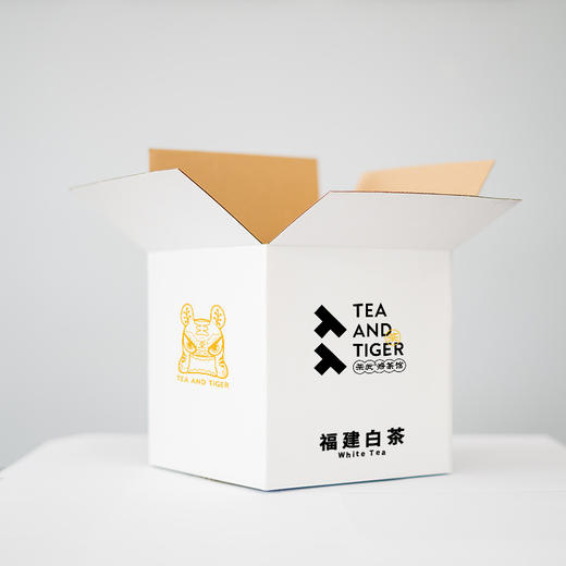 福建白茶原叶茶 | 115g x 20袋每箱 TT茶饮 原料特供 商品图0