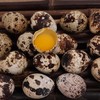 鹌鹑蛋 500g 商品缩略图1