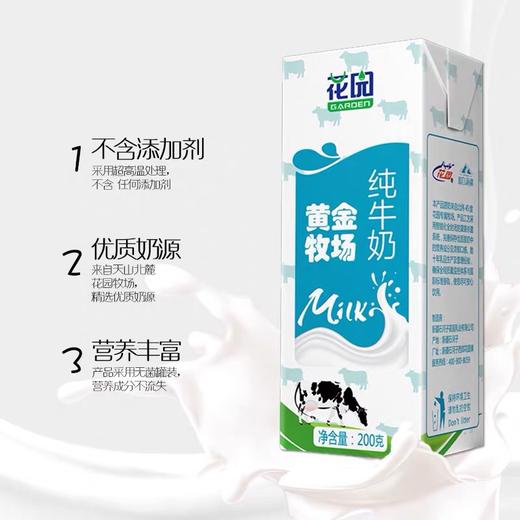 爆款~【新疆花园纯牛奶】200g*20盒/箱，利乐砖包装，包装升级不加价 商品图2