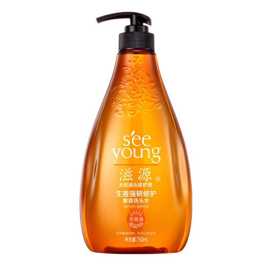 滋源洗发水750ml 商品图2