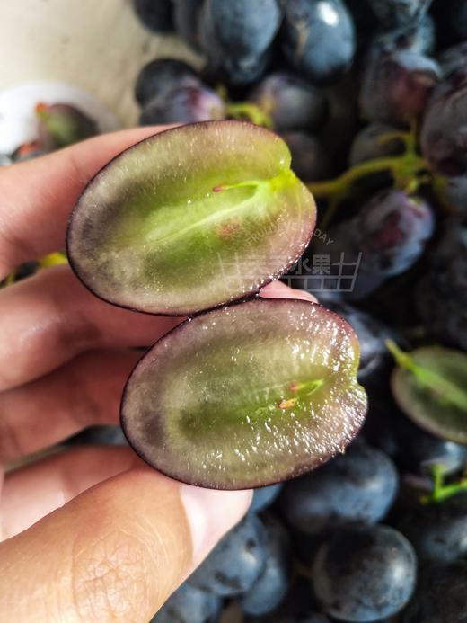 黑加仑 秋黑葡萄   好甜 商品图8