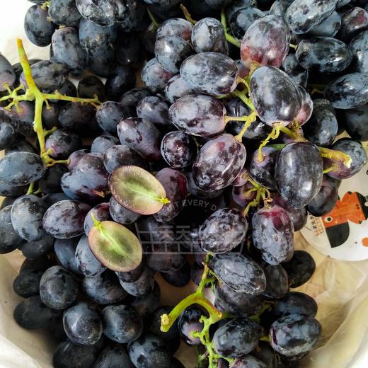 妮娜皇后葡萄 皮薄  甜甜的果粉浓郁葡萄 商品图10