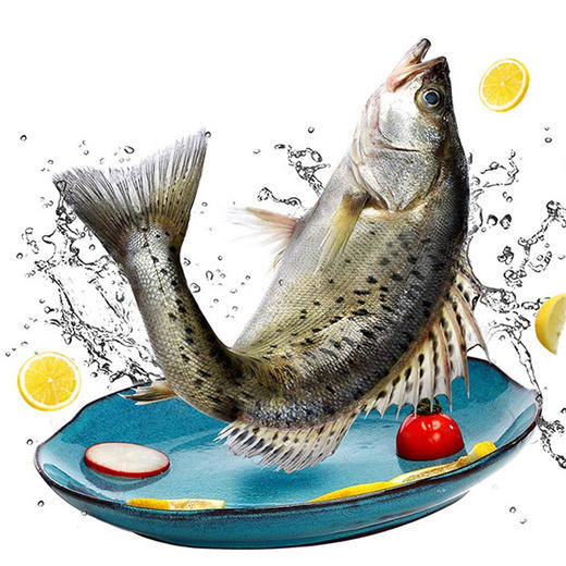 新鲜速冻国产鲈鱼 500g左右/条*2 商品图0