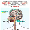 【第二瓶半价】拯救睡眠 快速入睡 枕边睡眠喷雾褪黑素深度睡眠 商品缩略图3