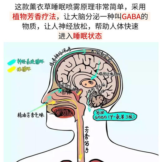 【第二瓶半价】拯救睡眠 快速入睡 枕边睡眠喷雾褪黑素深度睡眠 商品图3