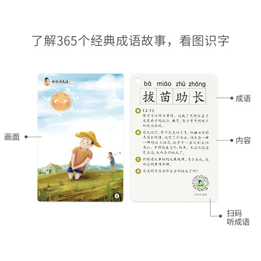 婷婷讲成语4盒装成语卡 商品图3