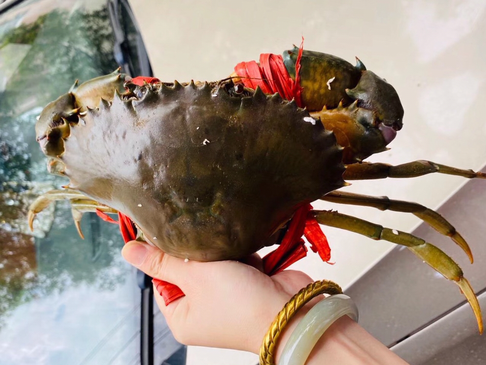 海鲜精选东山海鲜61活鲜红鲟蟹膏多肥美红鲟桂圆汤尤其是雌蟹被我国