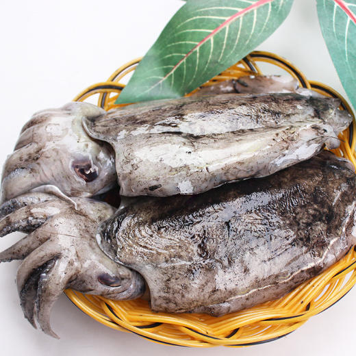 【海鲜】东海大目鱼 约7-8两/只 商品图0