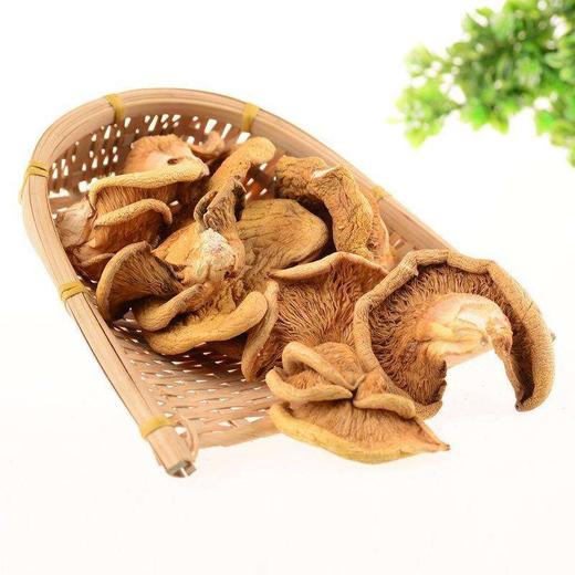 雪博士有机元蘑(120g袋)东北椴树元蘑东北干货小兴安岭特产