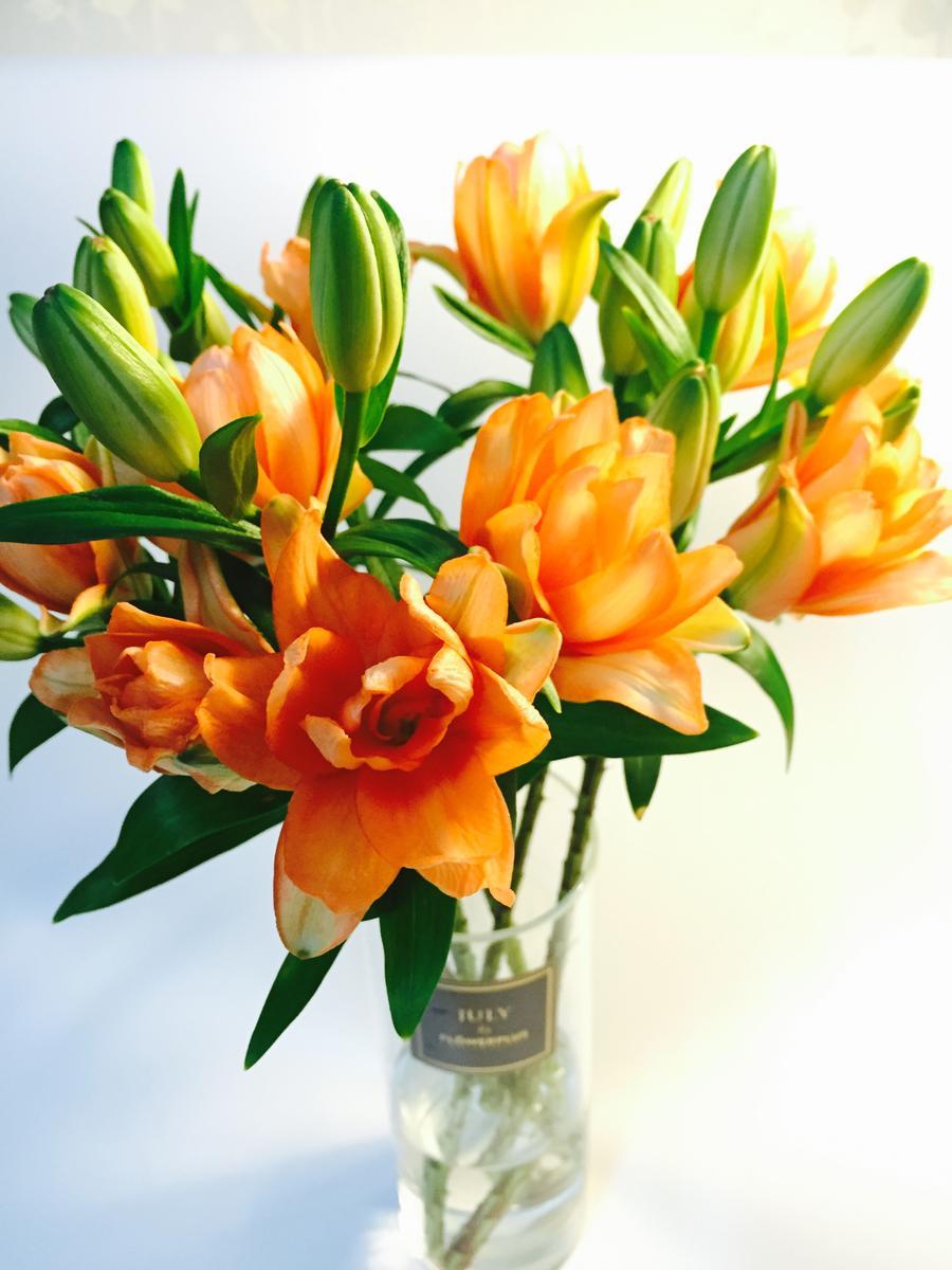 【限时下架】幻影宝贝,多头重瓣橙色亚百合,5支/扎