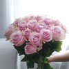 【昆明玫瑰】粉红雪山  20支/扎  多级别可选 商品缩略图2