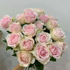 【昆明玫瑰】粉红雪山  20支/扎  多级别可选 商品缩略图3