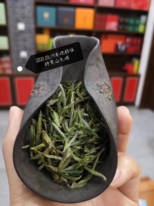 安徽黄山 明前特级毛峰特级500克包邮 商品图1