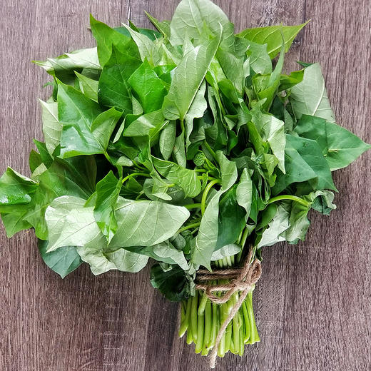 臻印映〡调理专用番薯嫩苗地瓜叶胜似野生穿越有机天养美食为健康