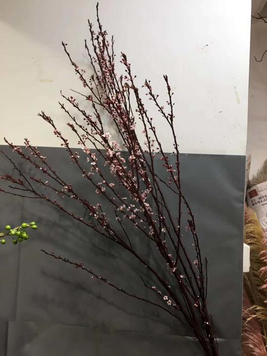 【交换春天】紫叶李花 若干枝/扎 商品图2