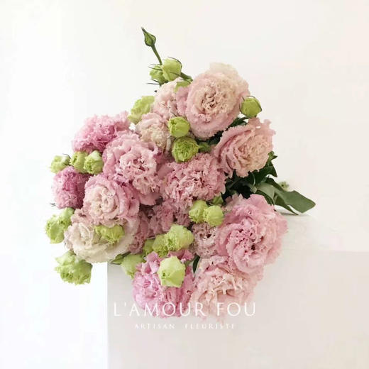 08kg基地洋桔梗ss钢丝球