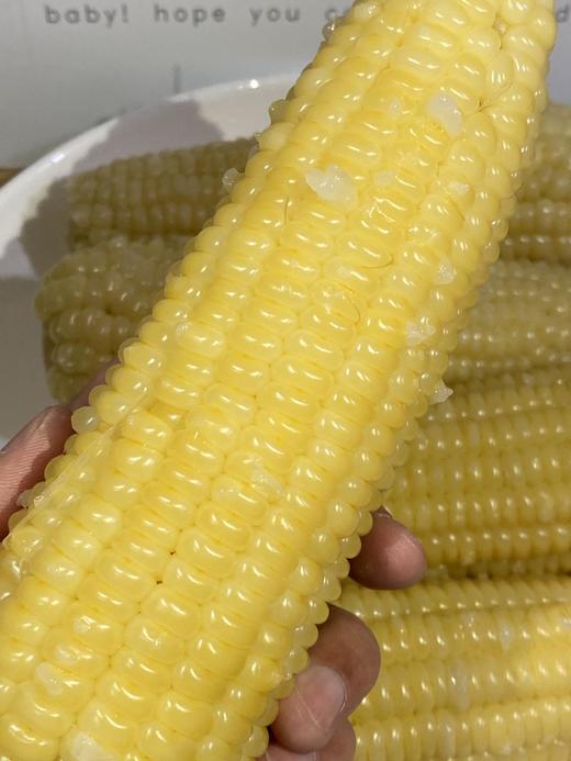 周五取货：【东北黑土地甜糯玉米】特惠：15元/5根！又粘又糯！ 商品图13
