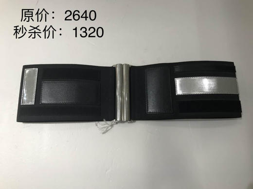 Wolford 腰带 商品图0