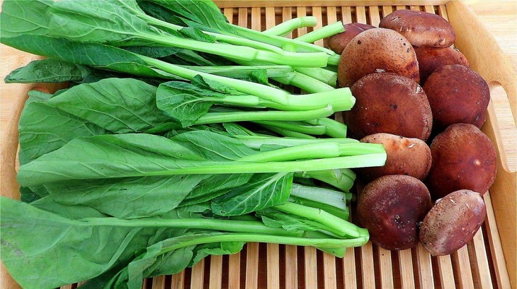 timg (12).jpg timg (12).jpg