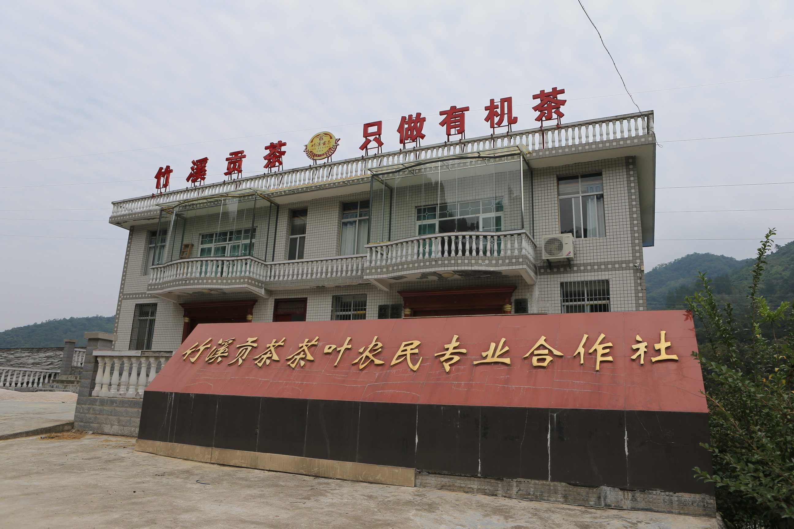 【限时抢购】2020年竹溪贡茶新茶明前绿茶贡芽王50g包邮