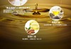 滋源水漾臻耀润发精油 100ml（外包装盒子轻微破损） 商品缩略图5