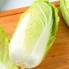 精品菜：白菜2000g 商品缩略图0