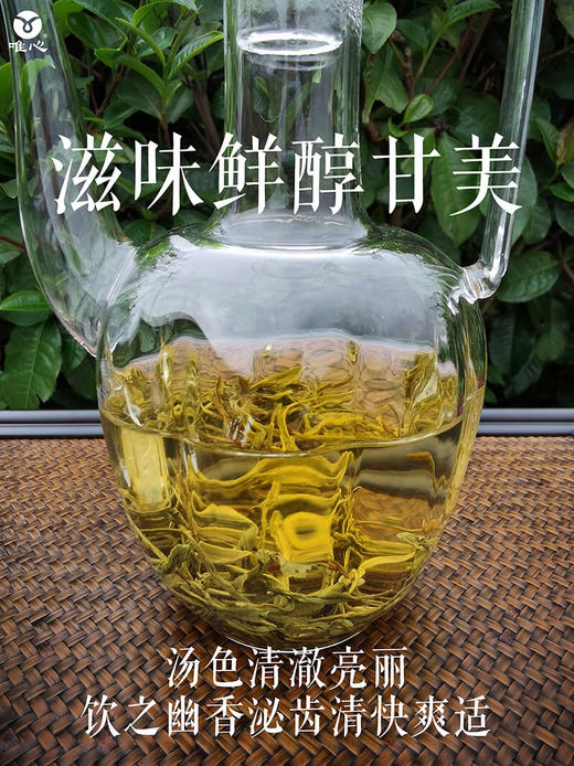 【唯心金萱绿茶2022年新茶】头春茶一级茶青 明前茶青 台湾茶树 125g/罐 商品图2