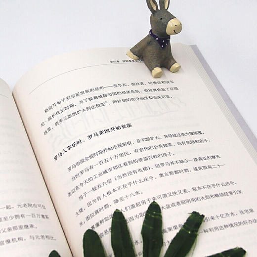 罗大里写给孩子的人类简史 商品图2