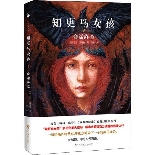 知更鸟女孩 6 命运终章 商品图0