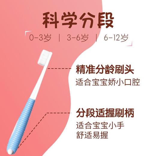 幸福草万根毛儿童专用分段护理型牙刷送幸福草儿童护理牙膏40g 商品图1