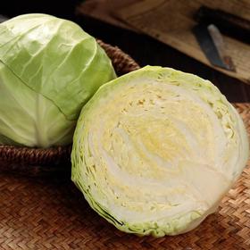 精品菜：莲花白1500g