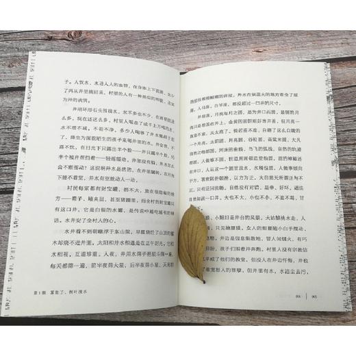 云是一棵树    六年级共读套装正版现货速发|名师推荐|小学生课外阅读6年级 商品图2