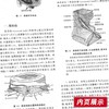 临床实用心电图学  科学出版社  
书号：9787030488138 商品缩略图4