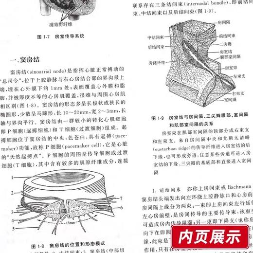 临床实用心电图学  科学出版社  
书号：9787030488138 商品图4