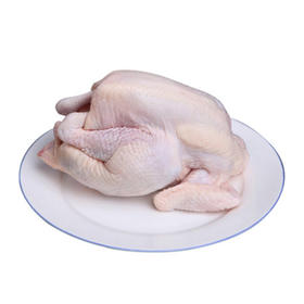 【秒杀单品】天宫煌竹林清远鸡1.3kg【021】