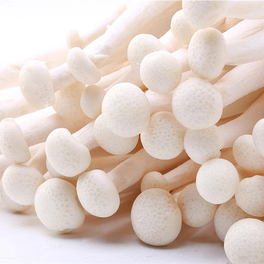 精品菜：白玉菇125g 商品图0