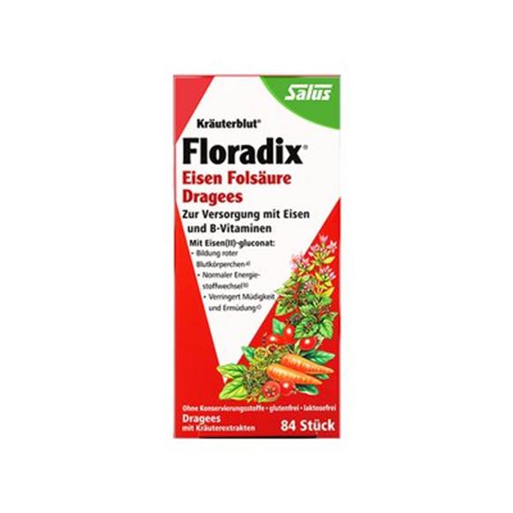 德国 Floradix 铁元片剂84粒 版本随机发