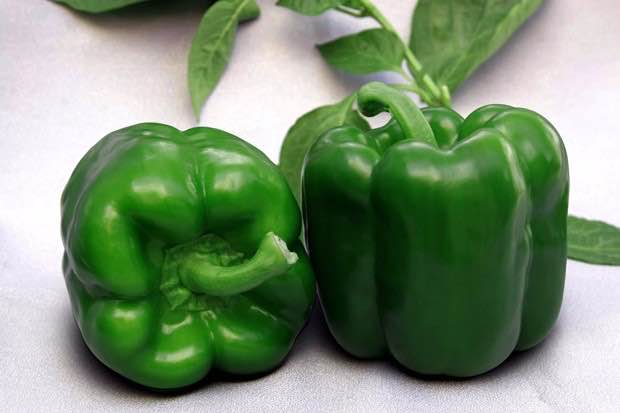 青椒(斤) 检测合格，无公害