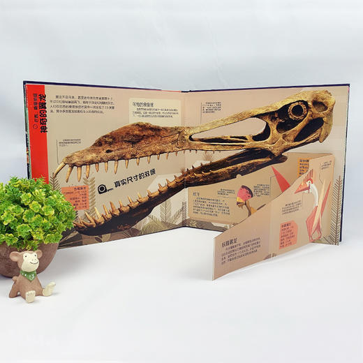 孤独星球·童书系列·星球探秘 恐龙探秘地图 世界奇迹是怎样创造的 飞机场是怎样工作的 商品图7