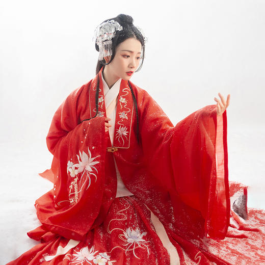 雪琉璃绣花大袖披风秋冬季