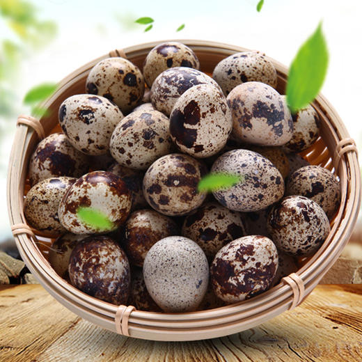鹌鹑蛋2盒（24枚/盒） 商品图1