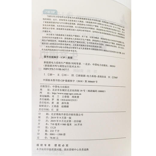 新能源并网与调度运行技术丛书  新能源电力系统生产模拟 商品图3