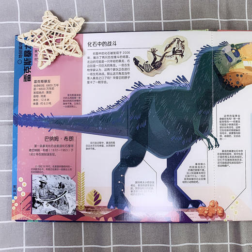 孤独星球·童书系列·星球探秘 恐龙探秘地图 世界奇迹是怎样创造的 飞机场是怎样工作的 商品图6