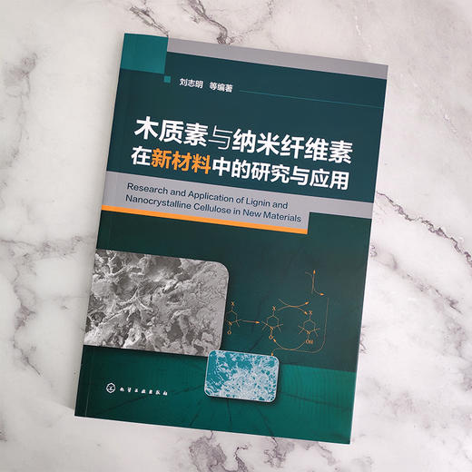 木质素与纳米纤维素在新材料中的研究与应用 商品图1