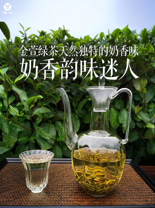 【唯心金萱绿茶2022年新茶】头春茶一级茶青 明前茶青 台湾茶树 125g/罐 商品图3