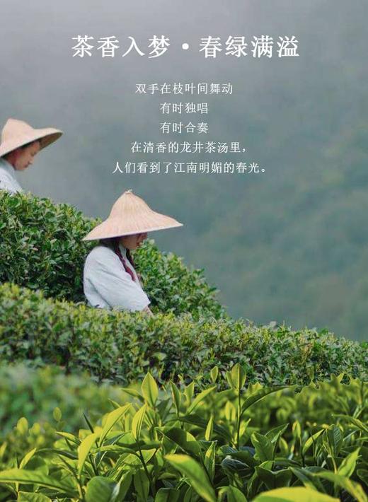 2020湖畔居明前特级龙井茶250g简装 - 湖畔居茶叶旗舰店