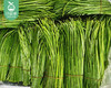 四川新鲜芦蒿/1份（约200g） 商品缩略图5