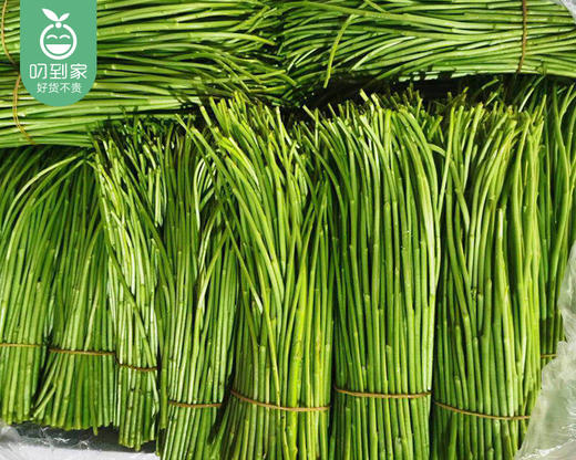 四川新鲜芦蒿/1份（约200g） 商品图5